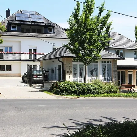 Bed & Breakfast Gelencser Panzio *